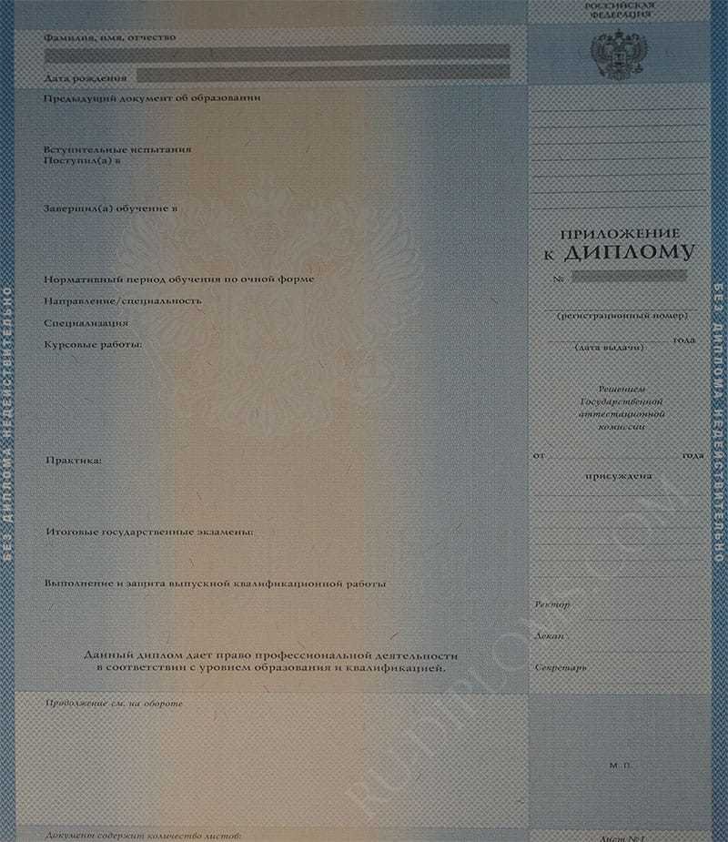 Диплом бакалавра 2004-2009 год  